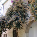 Italy50